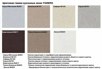 Кухонная мойка TOLERO R-109. Фото