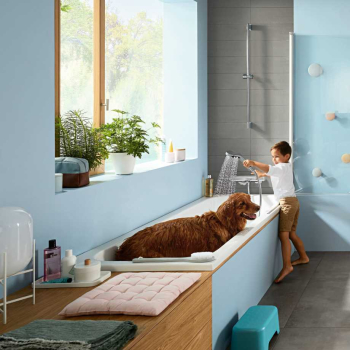 Термостат для ванны Hansgrohe Ecostat E 15774000. Фото