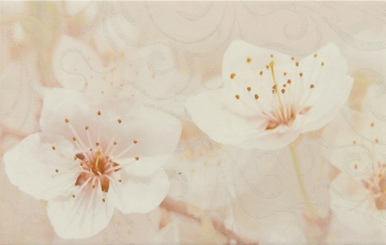 Unitile 010301001874 Декор Сакура 250х400 коричневый 03